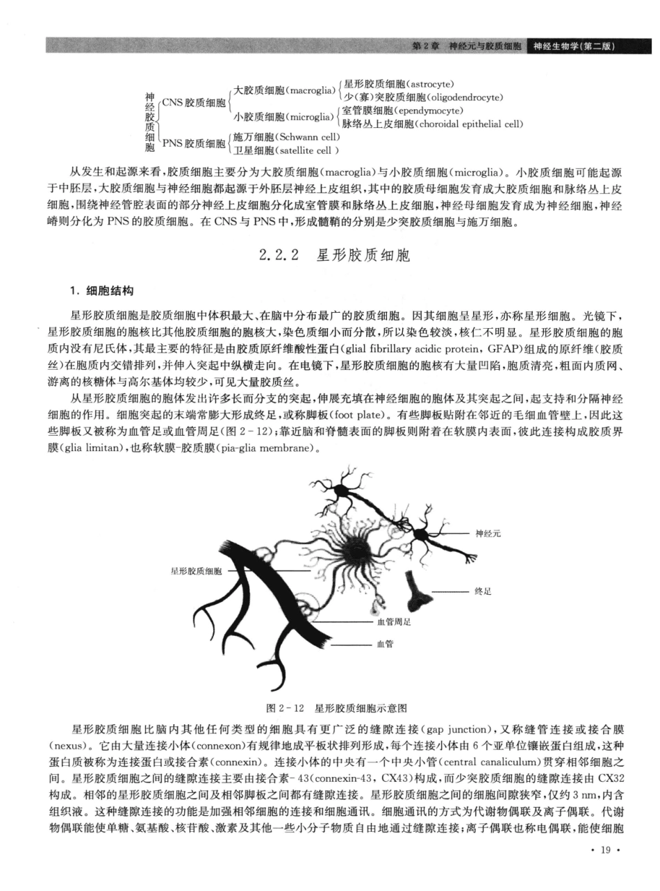 神经生物学++第2版_13015645_31-45.pdf_第1页