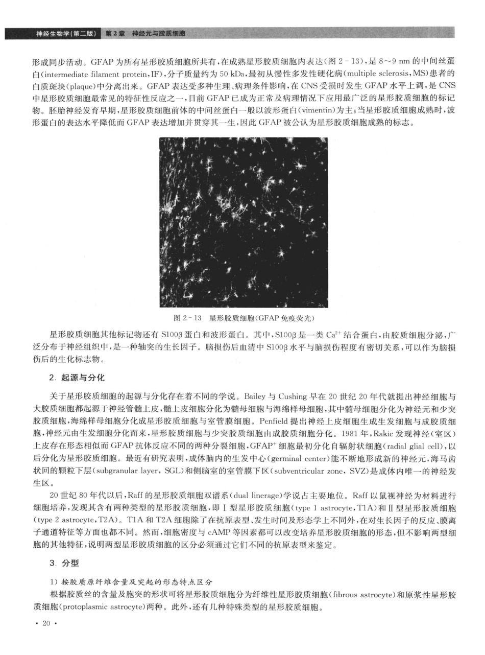 神经生物学++第2版_13015645_31-45.pdf_第2页