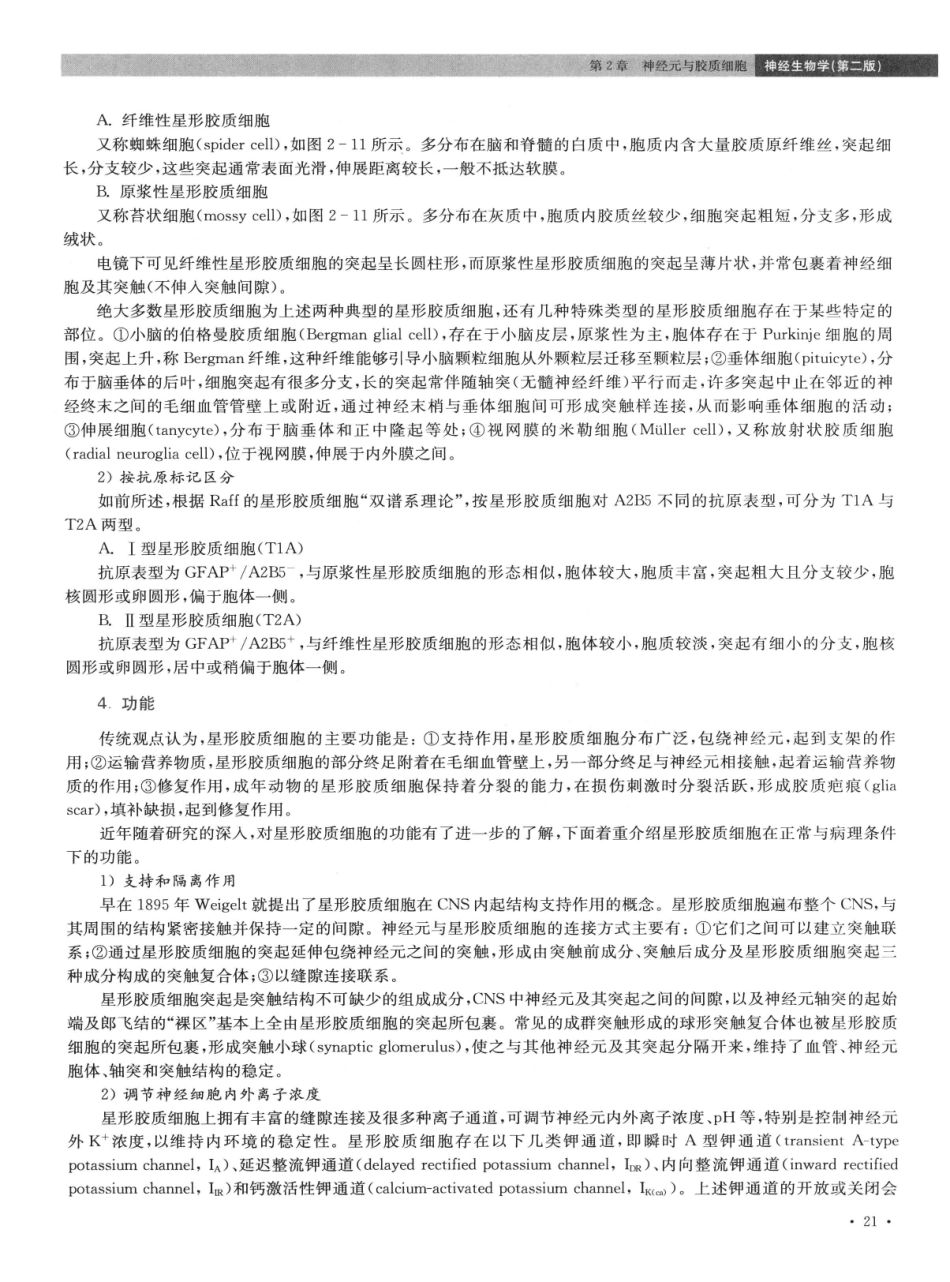 神经生物学++第2版_13015645_31-45.pdf_第3页