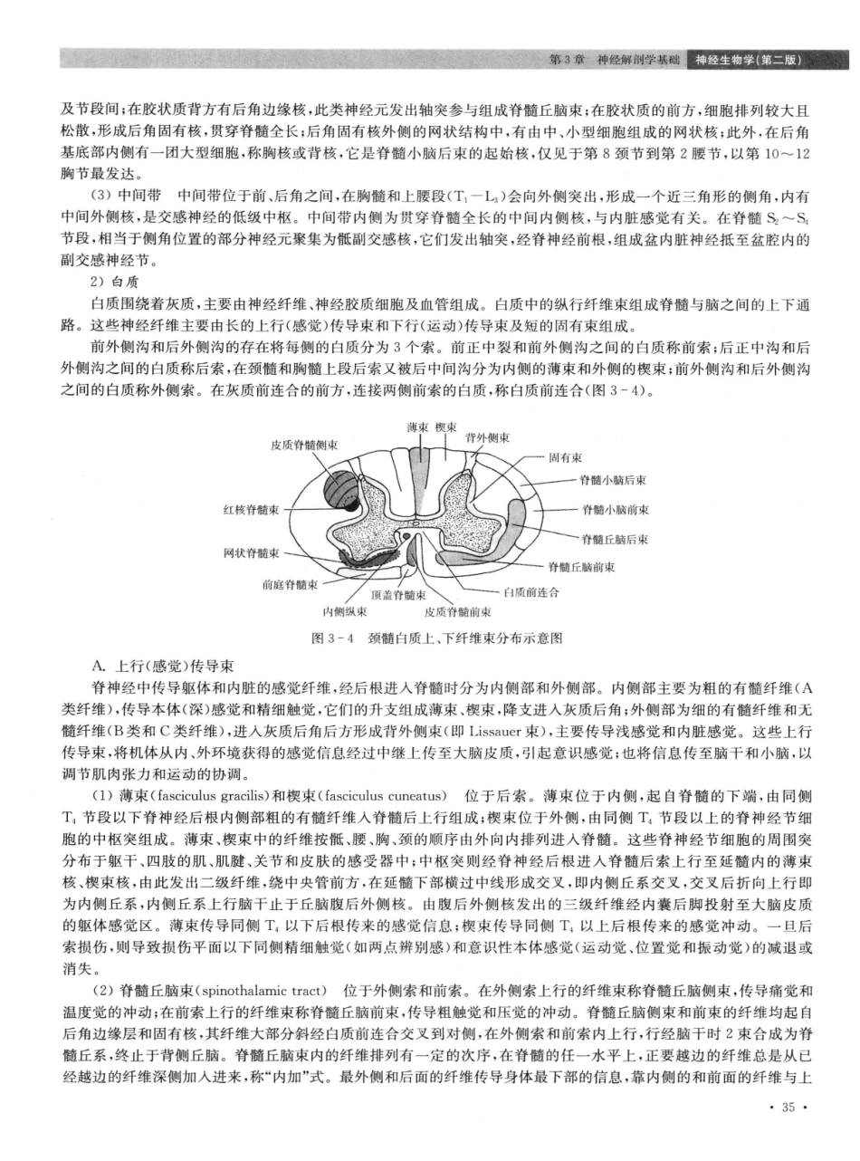 神经生物学++第2版_13015645_46-60.pdf_第2页