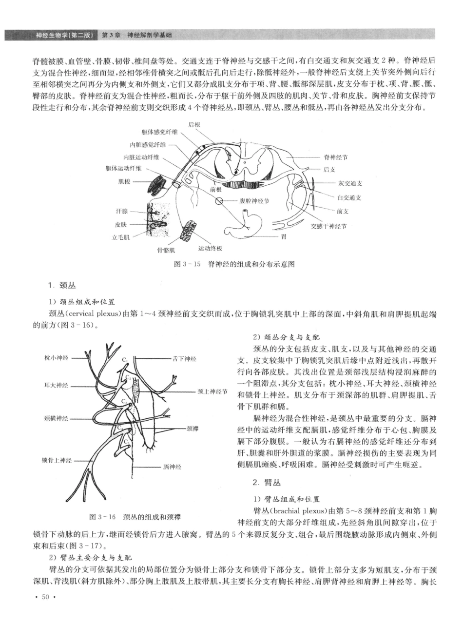 神经生物学++第2版_13015645_61-75.pdf_第2页