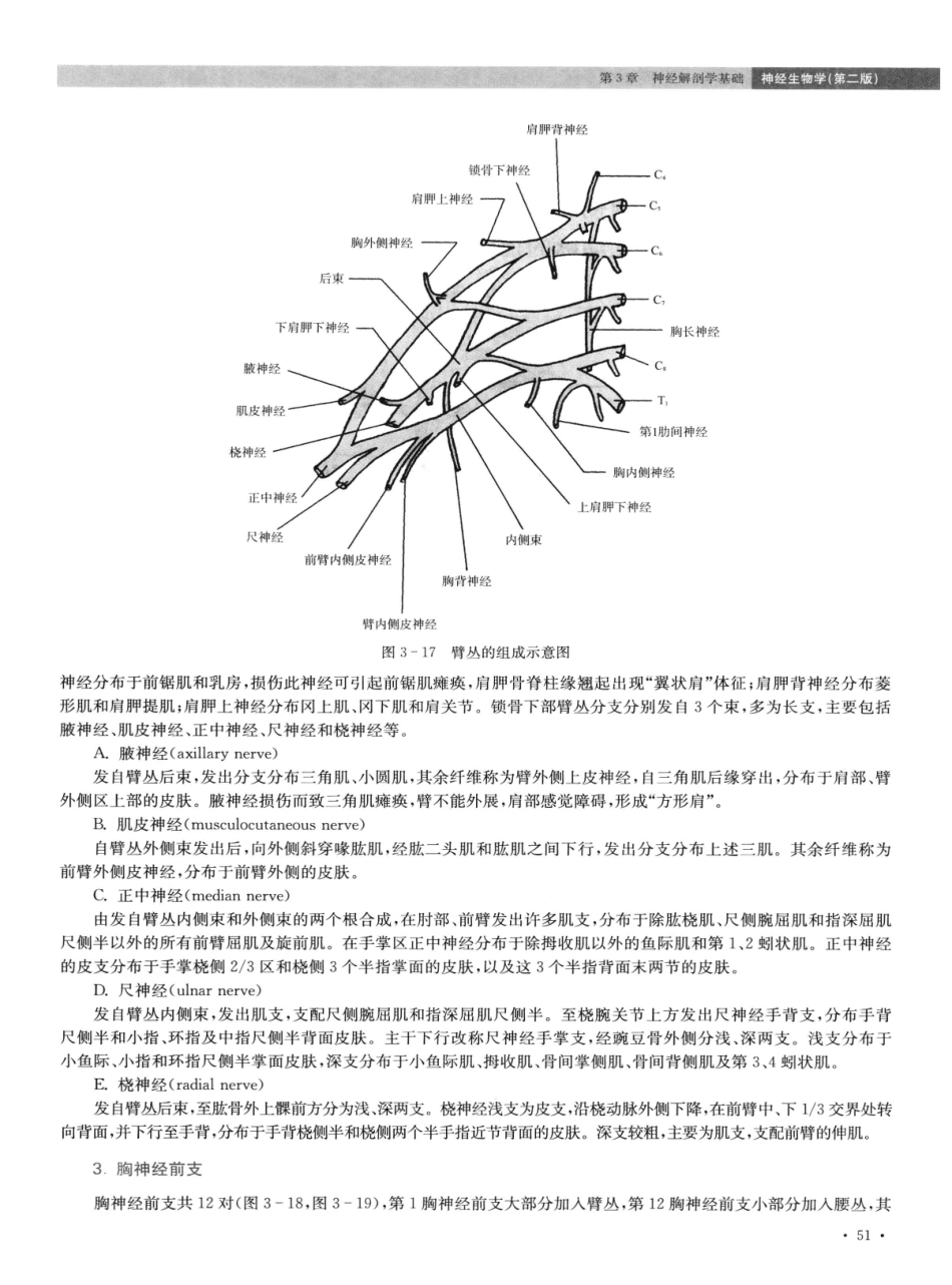 神经生物学++第2版_13015645_61-75.pdf_第3页