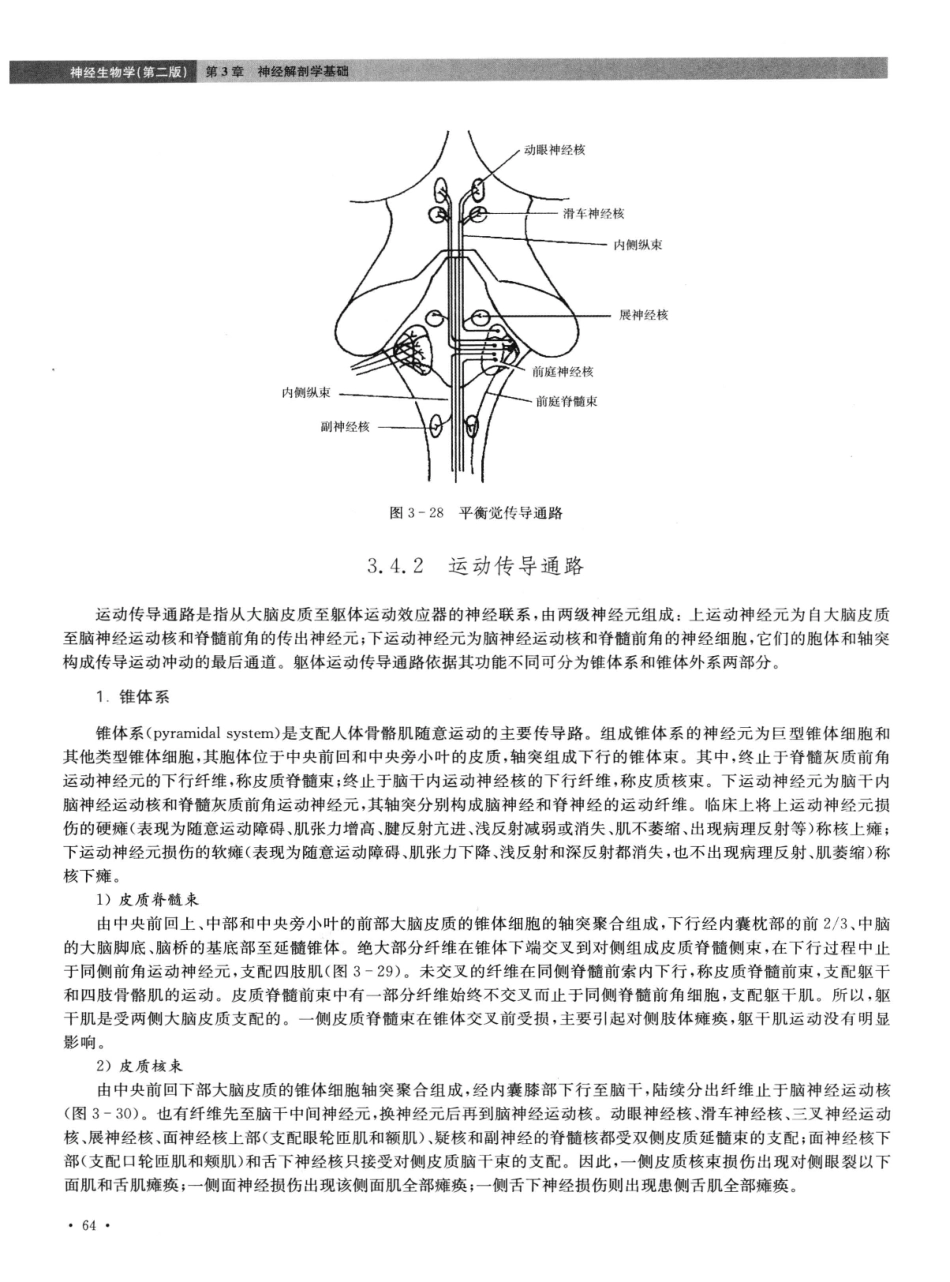 神经生物学++第2版_13015645_76-90.pdf_第1页
