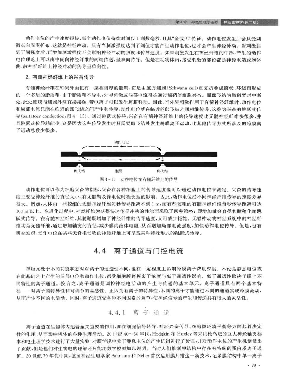 神经生物学++第2版_13015645_91-105.pdf_第1页
