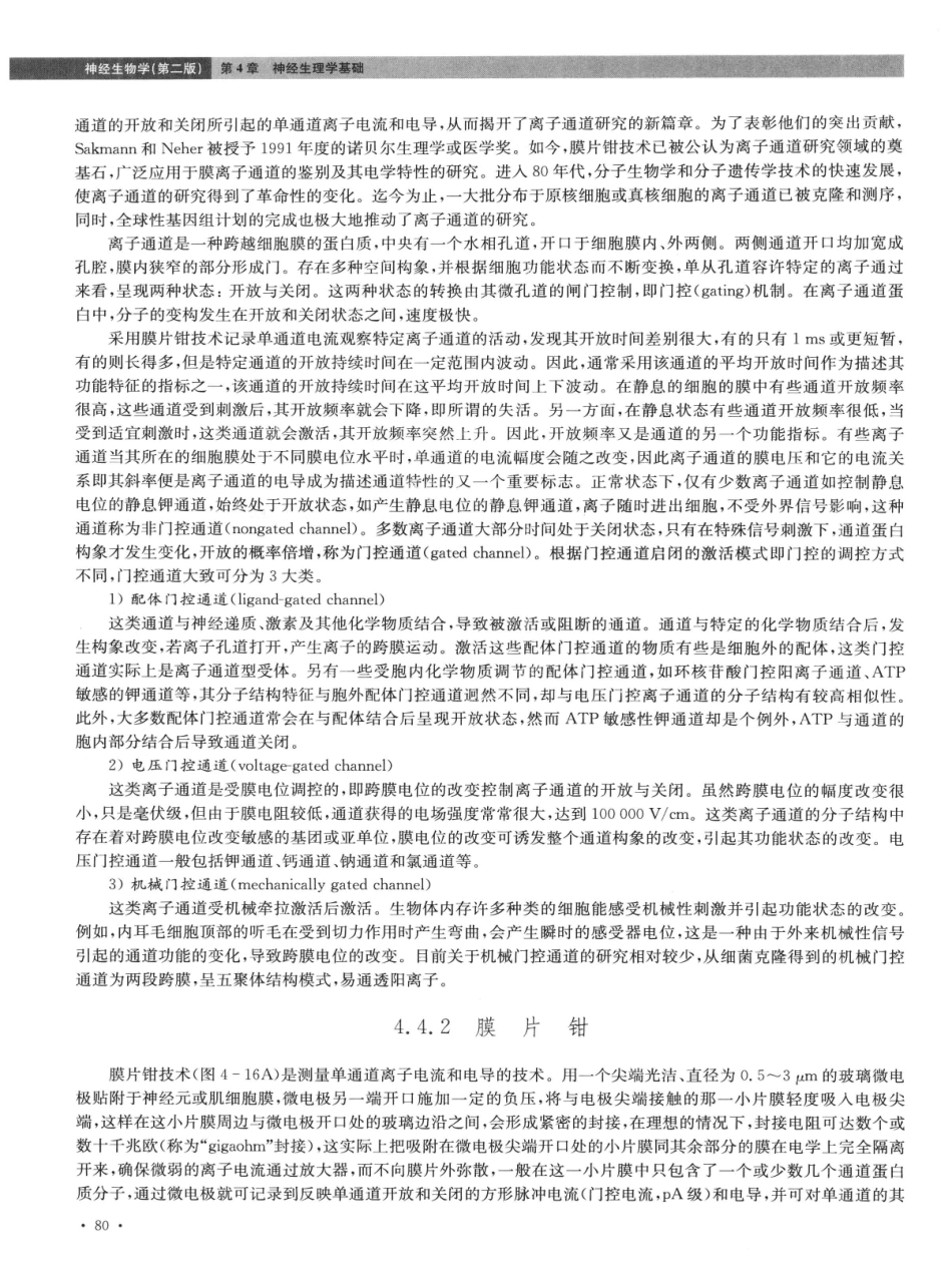 神经生物学++第2版_13015645_91-105.pdf_第2页