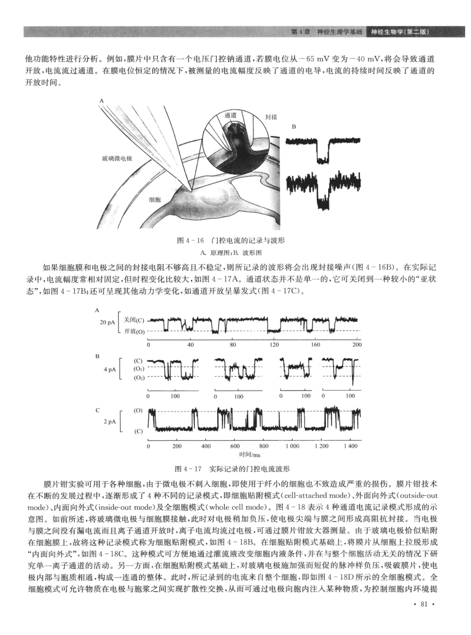 神经生物学++第2版_13015645_91-105.pdf_第3页