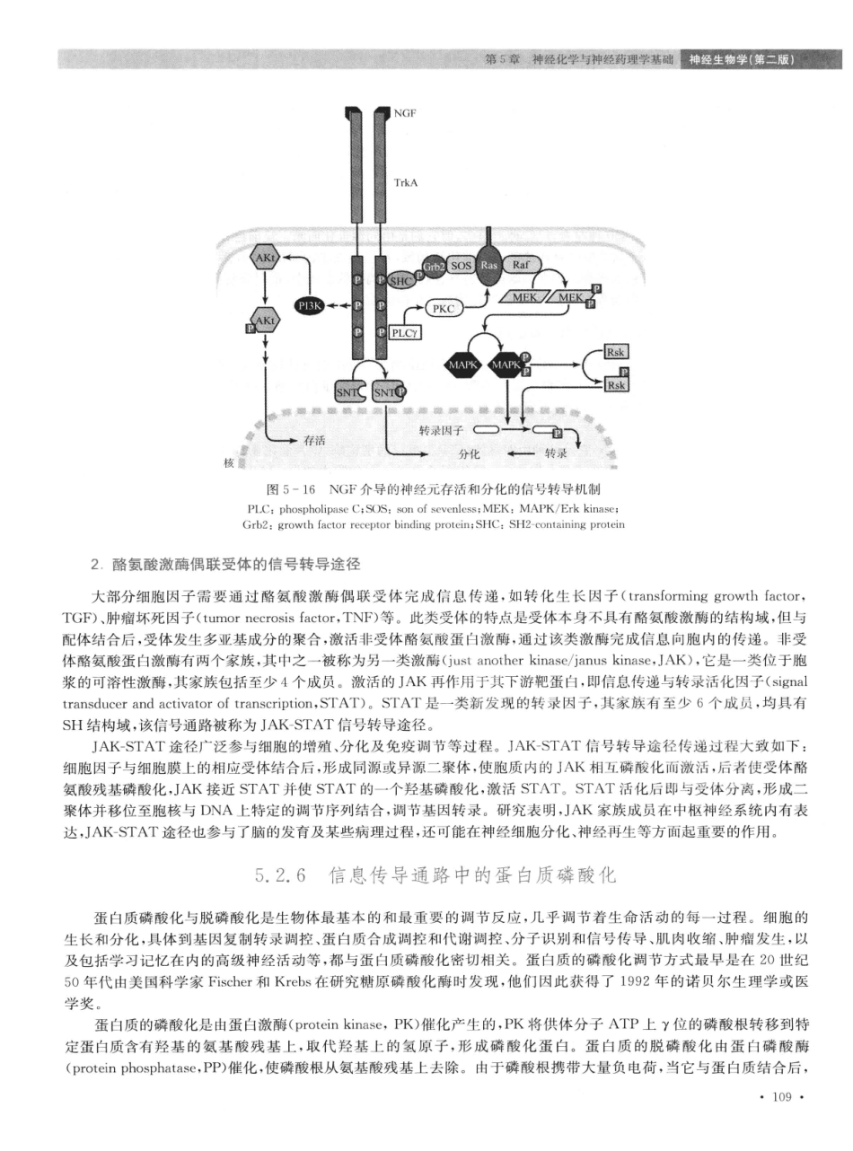 神经生物学++第2版_13015645_121-135.pdf_第1页