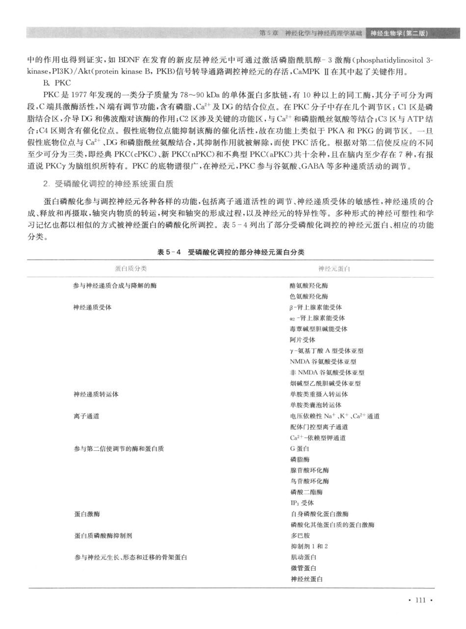 神经生物学++第2版_13015645_121-135.pdf_第3页