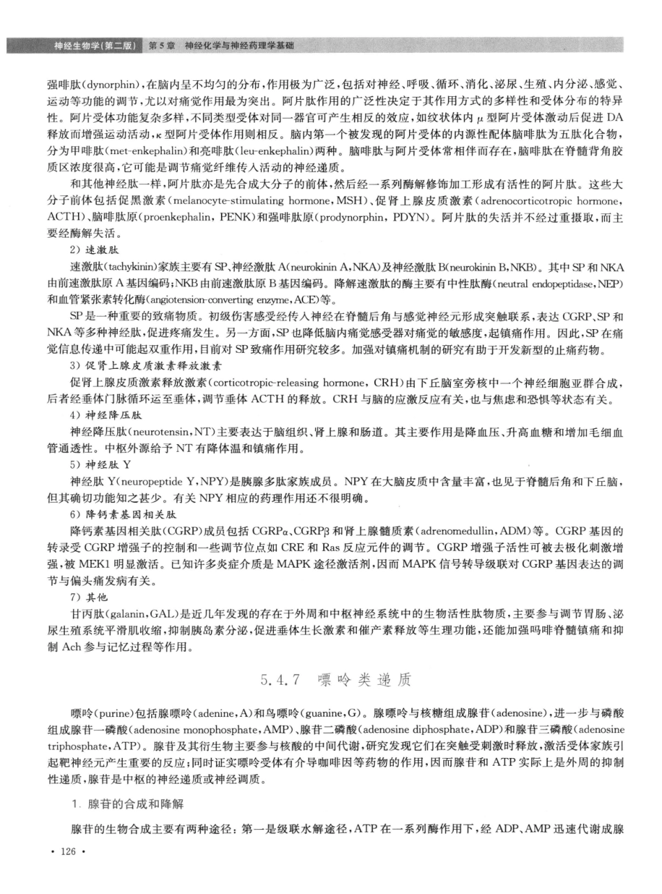 神经生物学++第2版_13015645_136-150.pdf_第3页