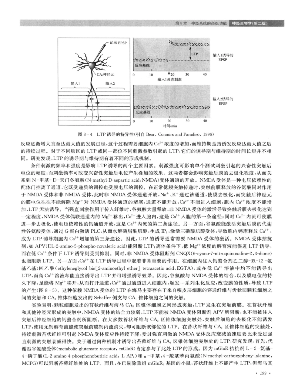 神经生物学++第2版_13015645_211-225.pdf_第1页