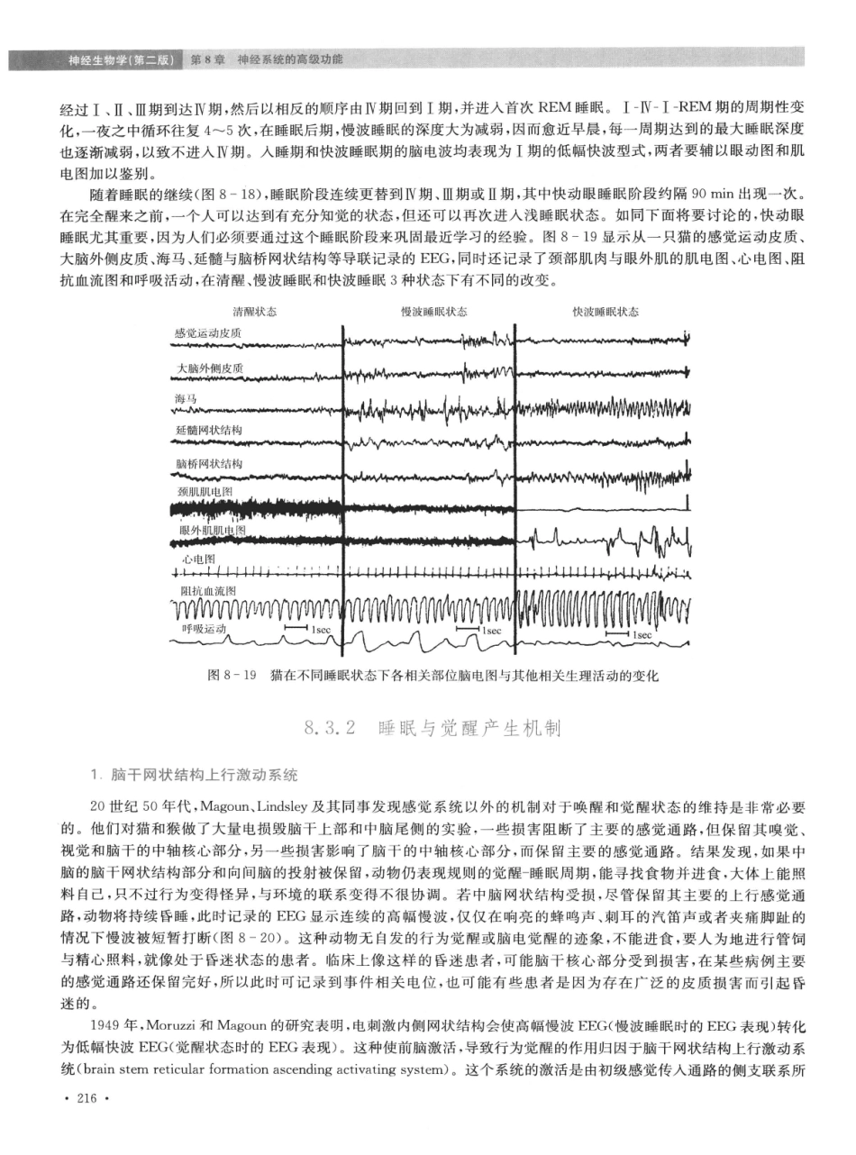 神经生物学++第2版_13015645_226-240.pdf_第3页
