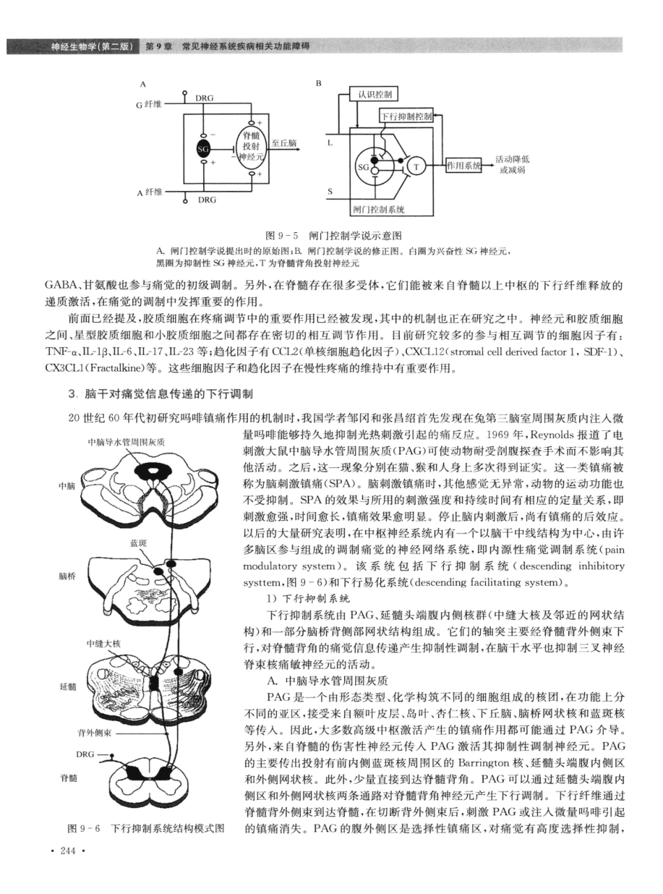 神经生物学++第2版_13015645_256-270.pdf_第1页