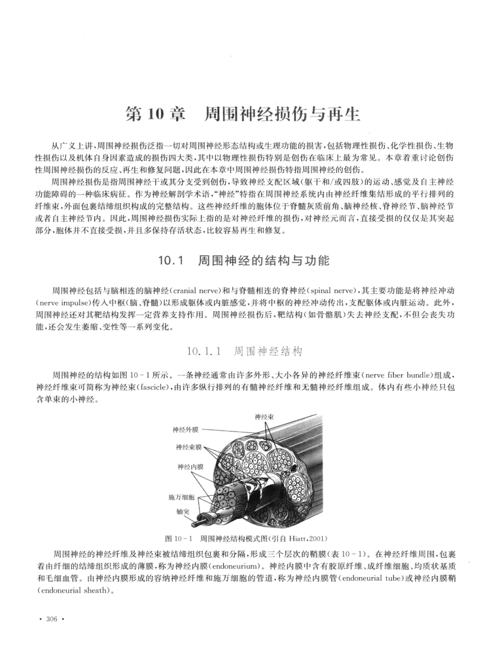 神经生物学++第2版_13015645_316-330.pdf_第3页