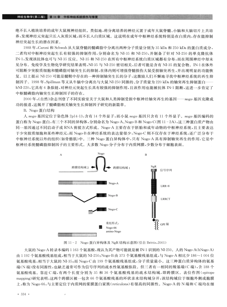 神经生物学++第2版_13015645_346-360.pdf_第1页