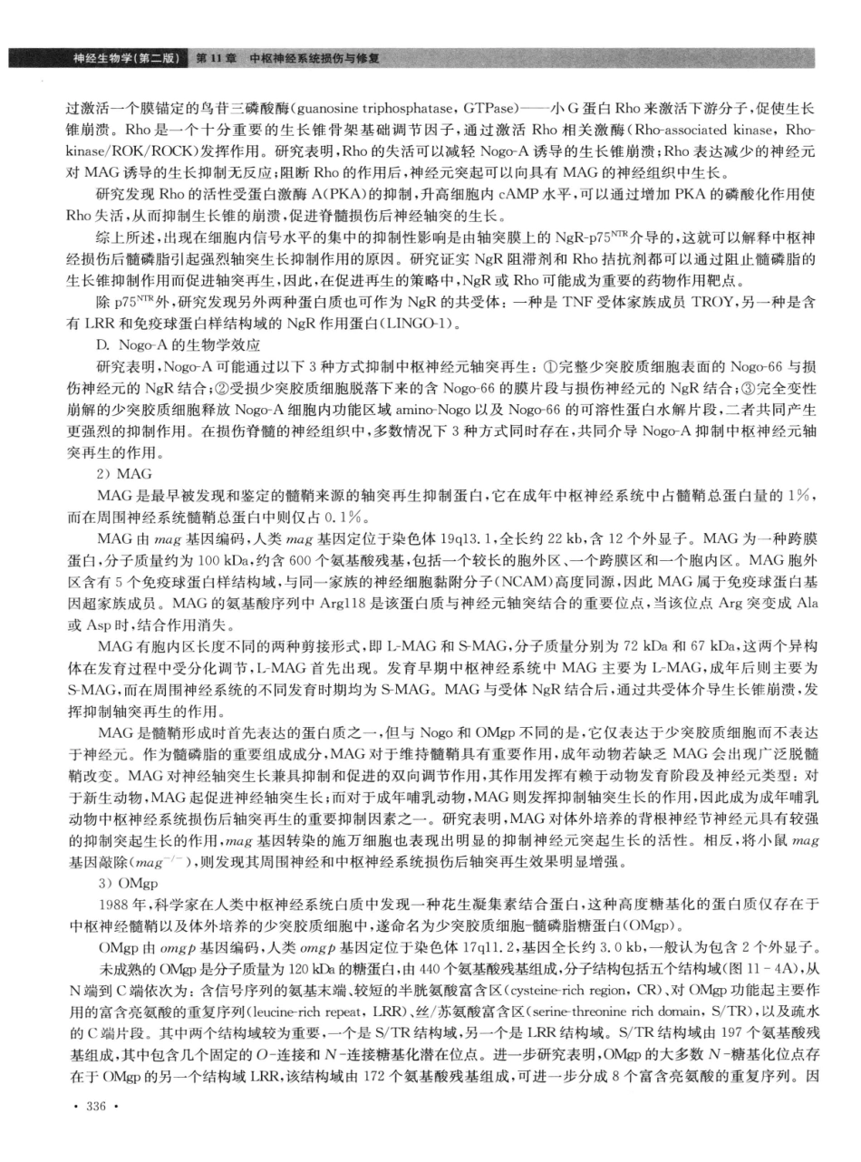 神经生物学++第2版_13015645_346-360.pdf_第3页