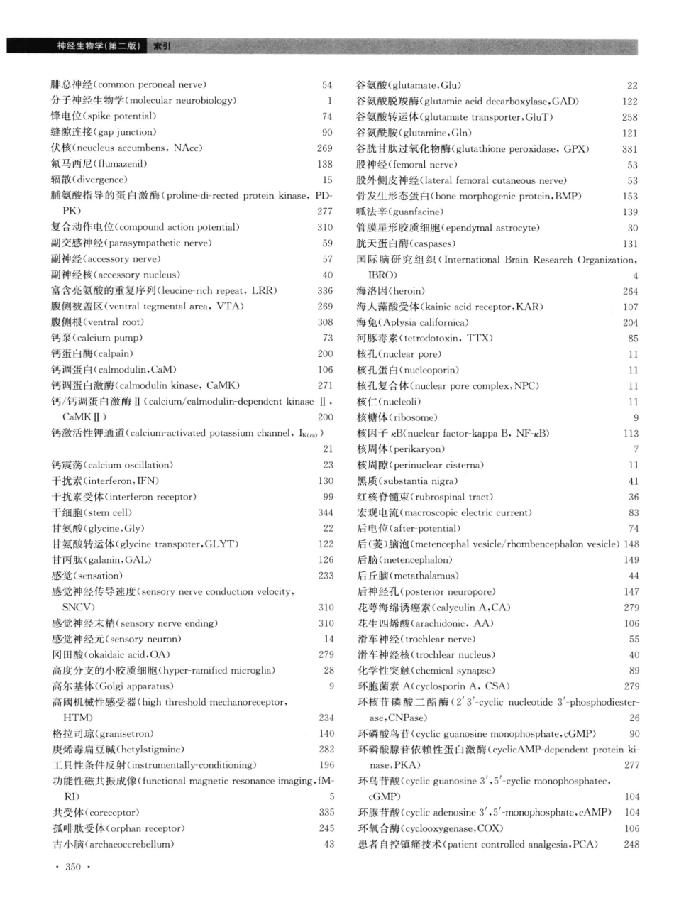 神经生物学++第2版_13015645_361-373.pdf_第2页