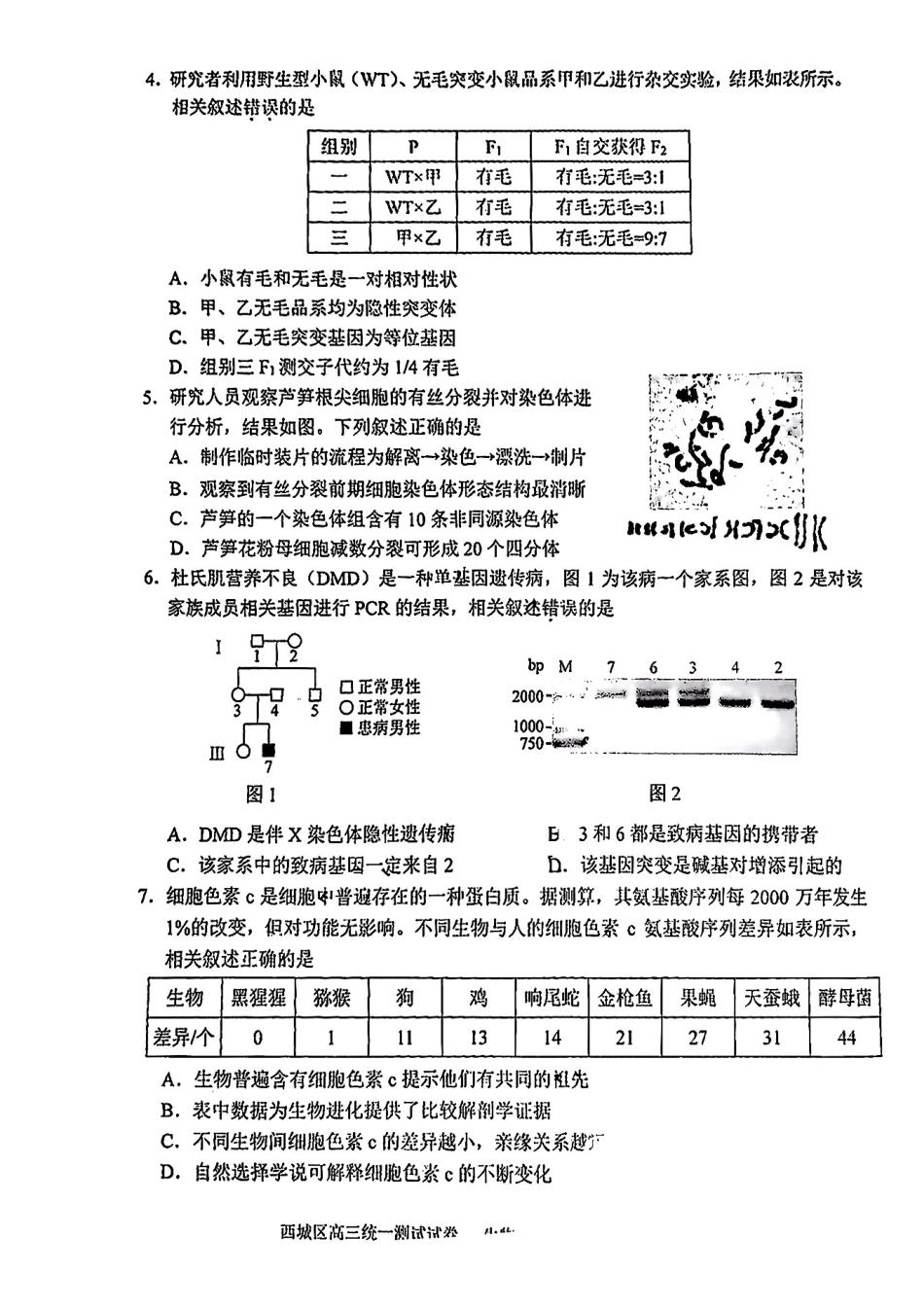 【北京卷】北京市2025年西城区2025届高三统一测试试卷（西城一模）（4.7-4.10）生物试题卷.pdf_第2页