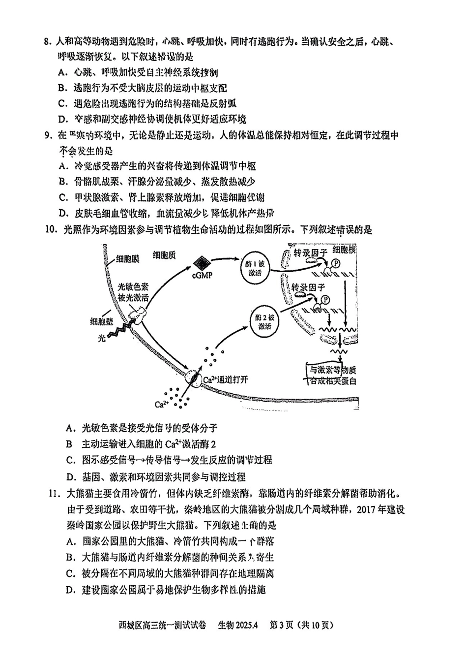 【北京卷】北京市2025年西城区2025届高三统一测试试卷（西城一模）（4.7-4.10）生物试题卷.pdf_第3页