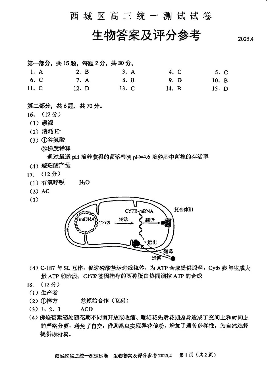 【北京卷】北京市2025年西城区2025届高三统一测试试卷（西城一模）（4.7-4.10）生物试题卷答案.pdf_第1页