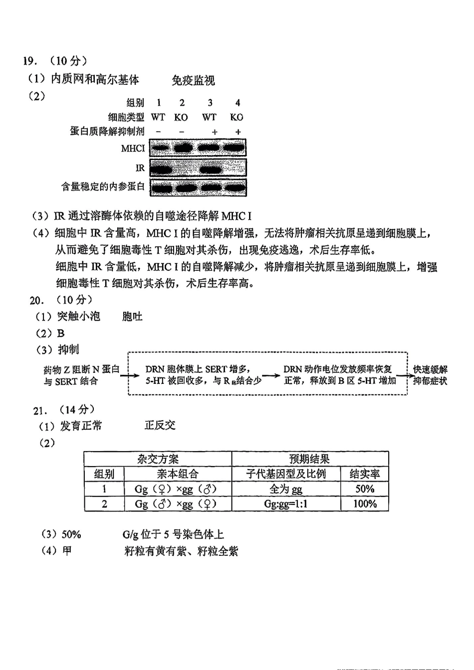 【北京卷】北京市2025年西城区2025届高三统一测试试卷（西城一模）（4.7-4.10）生物试题卷答案.pdf_第2页