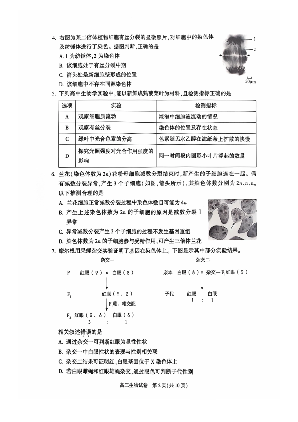 【北京卷】北京市朝阳区2024-2025学年高三第一（上）学期期中质量检测（11.6-11.8）生物试卷+答案.pdf_第2页