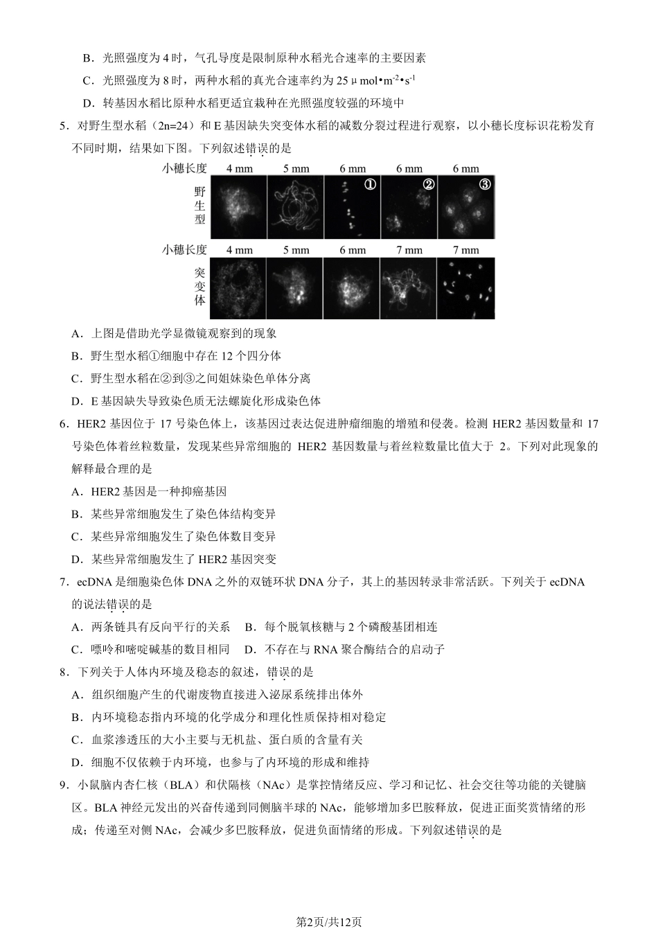 【北京卷】北京市东城区2024-2025学年度第二学期高三综合练习（一）（东城高三一模）（4.8开考4.8-4.11）生物试题卷+答案.pdf_第2页
