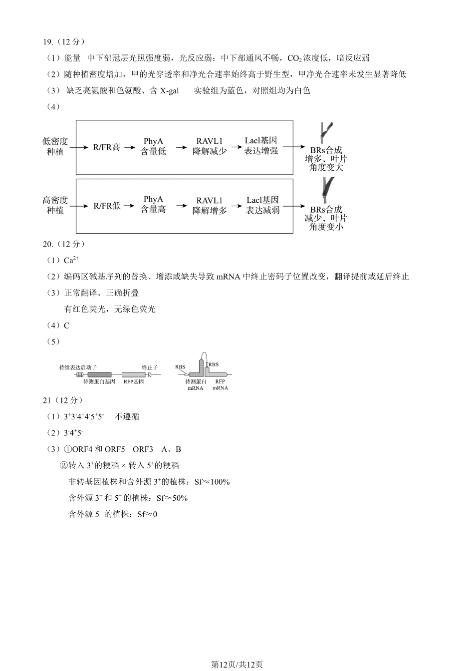 【北京卷】北京市东城区2024-2025学年度第二学期高三综合练习（一）（东城高三一模）（4.8开考4.8-4.11）生物试题卷答案.pdf_第2页