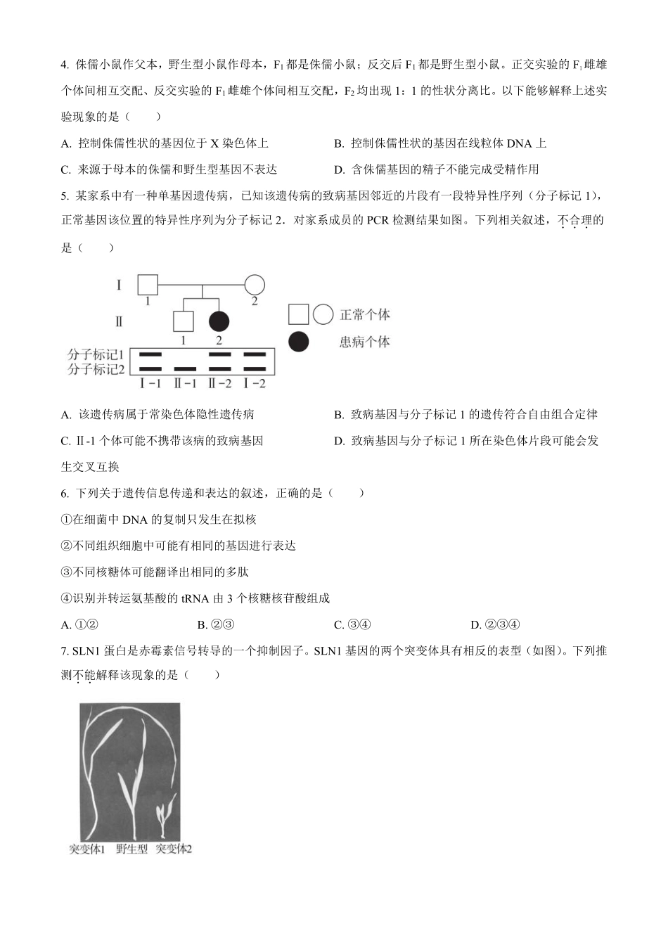 【北京卷】北京市海淀区2024-2025学年高三上学期10月月考（10.5-10.7）生物试卷.pdf_第2页