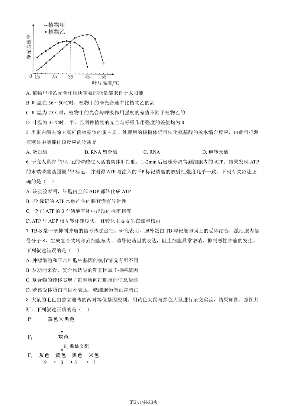 【北京卷】北京市通州区2024-2025学年高三上学期11月期中质量检测（11.21-11.23）生物试卷+答案.pdf_第2页