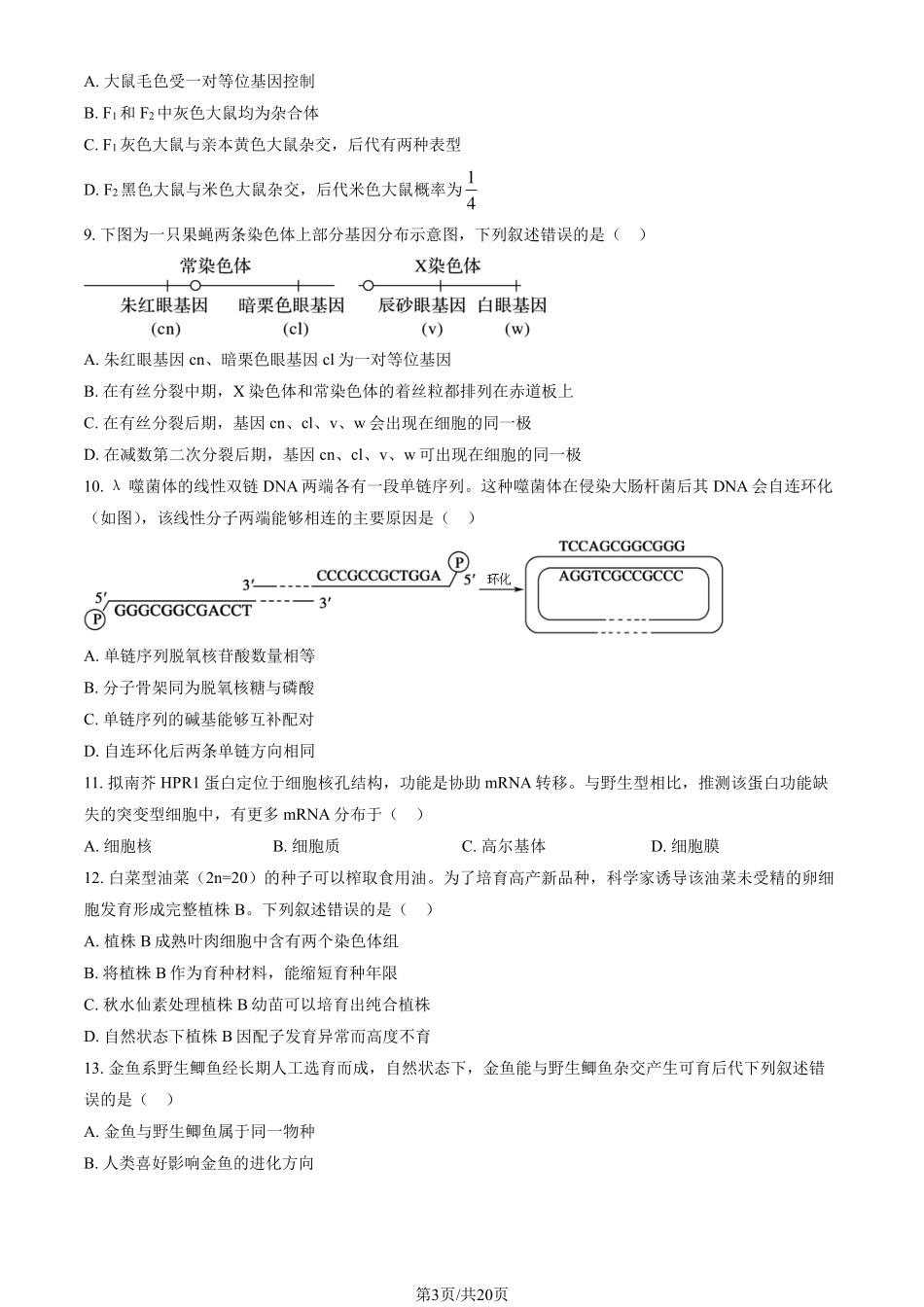 【北京卷】北京市通州区2024-2025学年高三上学期11月期中质量检测（11.21-11.23）生物试卷+答案.pdf_第3页