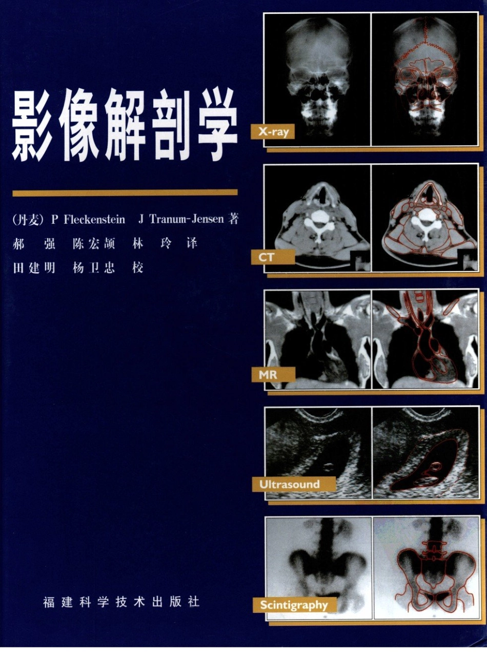 影像解剖学_11724881_1-12.pdf_第1页