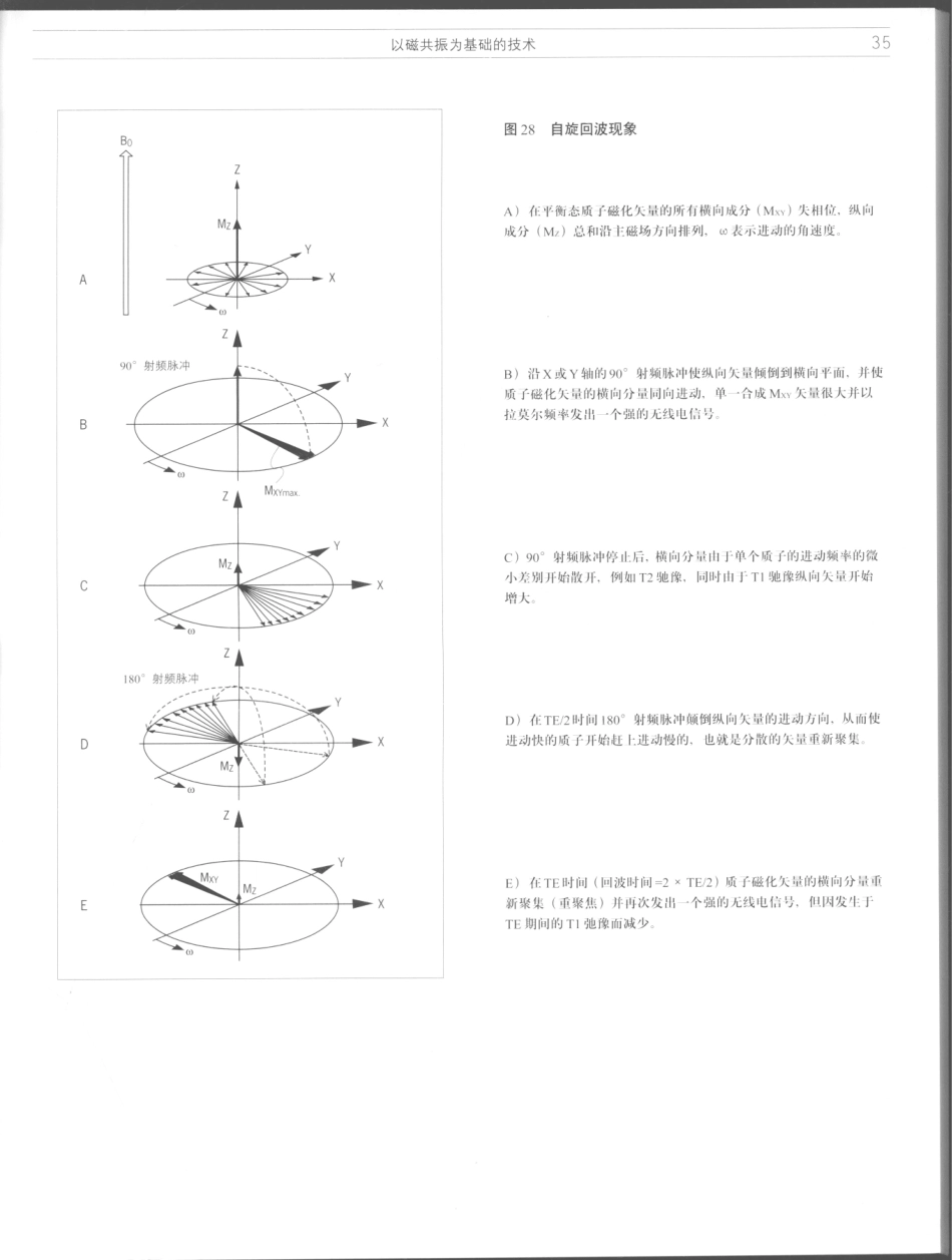 影像解剖学_11724881_37-48.pdf_第1页