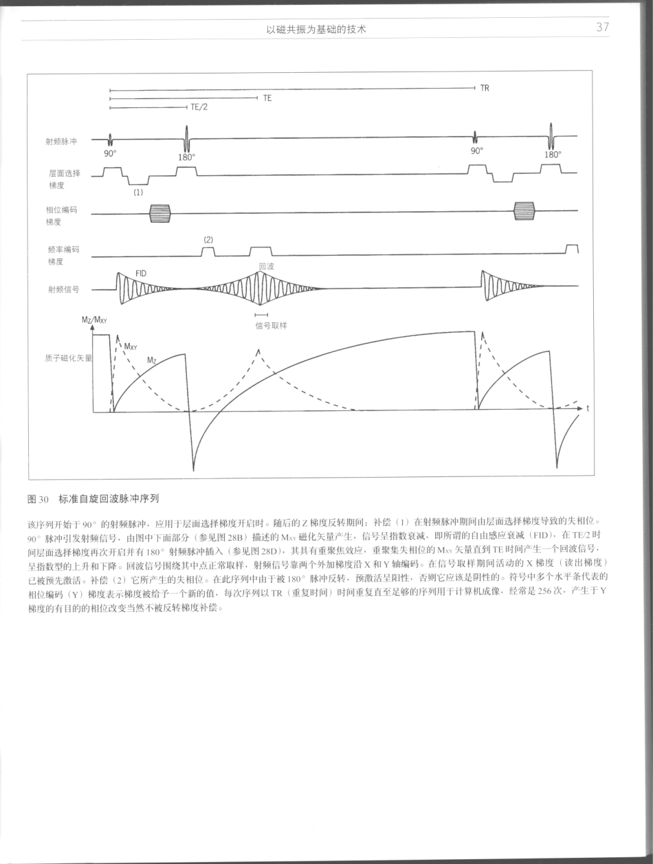 影像解剖学_11724881_37-48.pdf_第3页