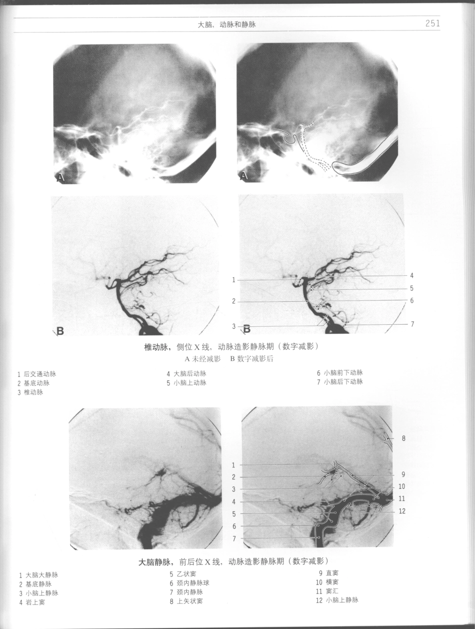 影像解剖学_11724881_253-264.pdf_第1页