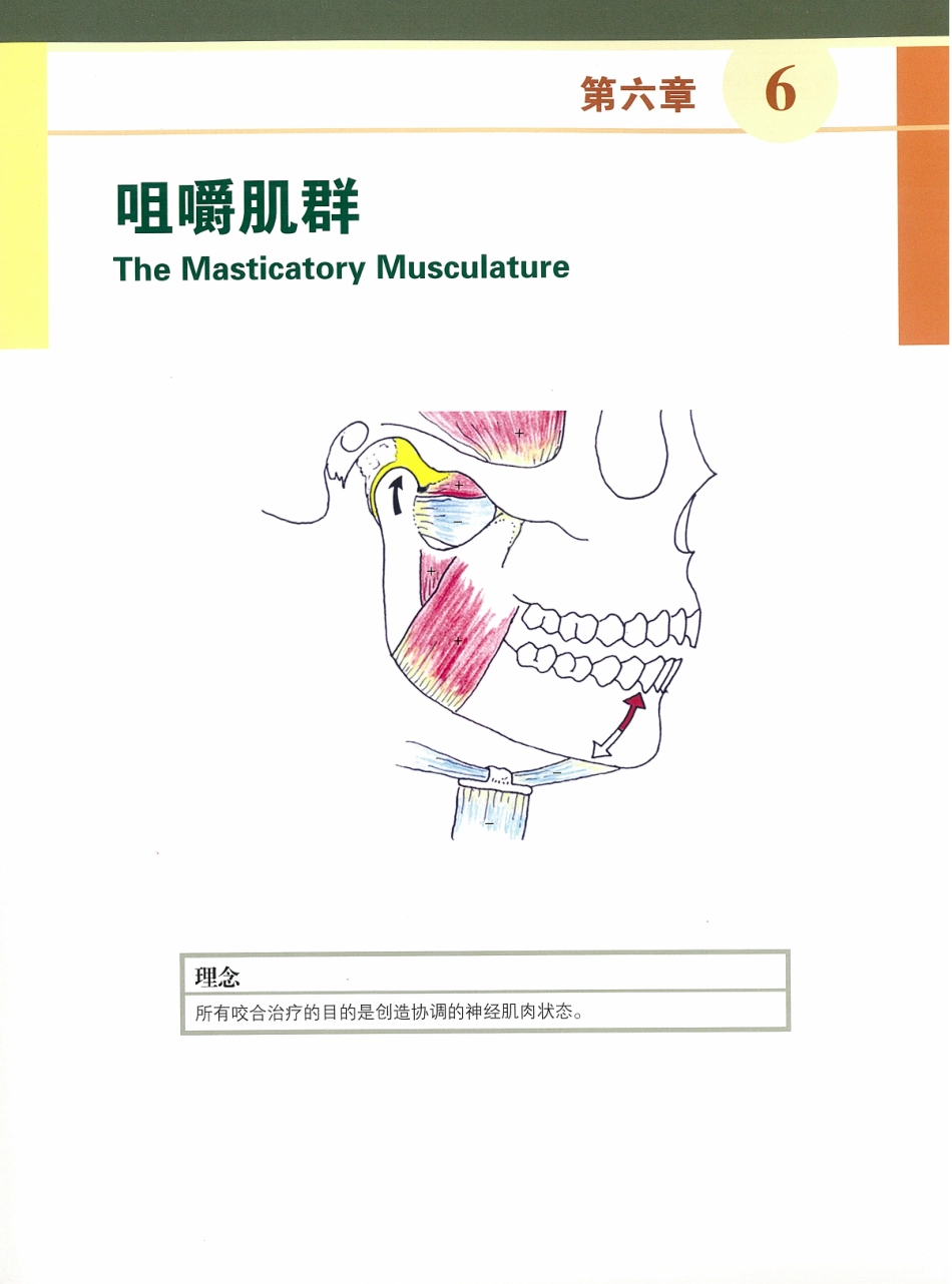 功能牙合学 从颞下颌关节到微笑设计2015年译(彩图)张豪_61-75.pdf_第3页