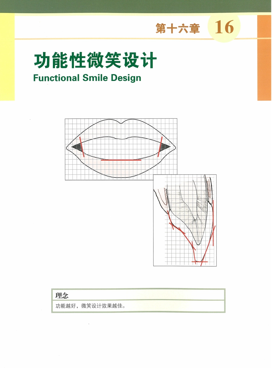 功能牙合学 从颞下颌关节到微笑设计2015年译(彩图)张豪_166-180.pdf_第2页