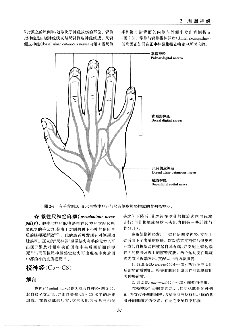 临床神经病学定位++第6版_13196861_46-60.pdf_第1页