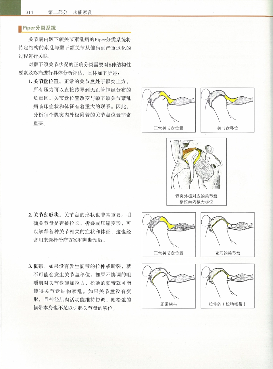 功能牙合学 从颞下颌关节到微笑设计2015年译(彩图)张豪_331-345.pdf_第2页