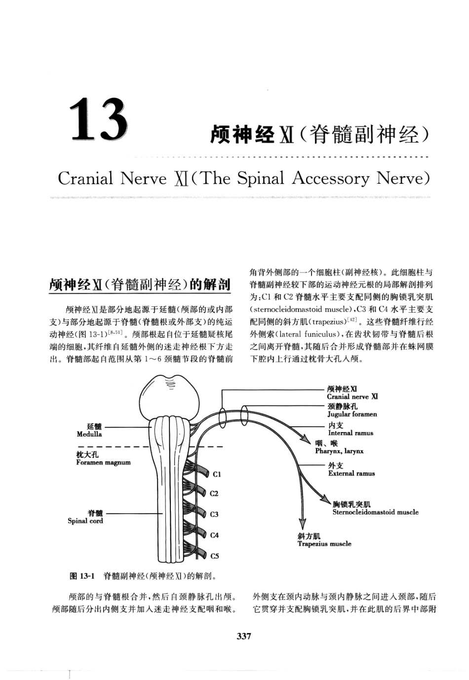 临床神经病学定位++第6版_13196861_346-360.pdf_第1页