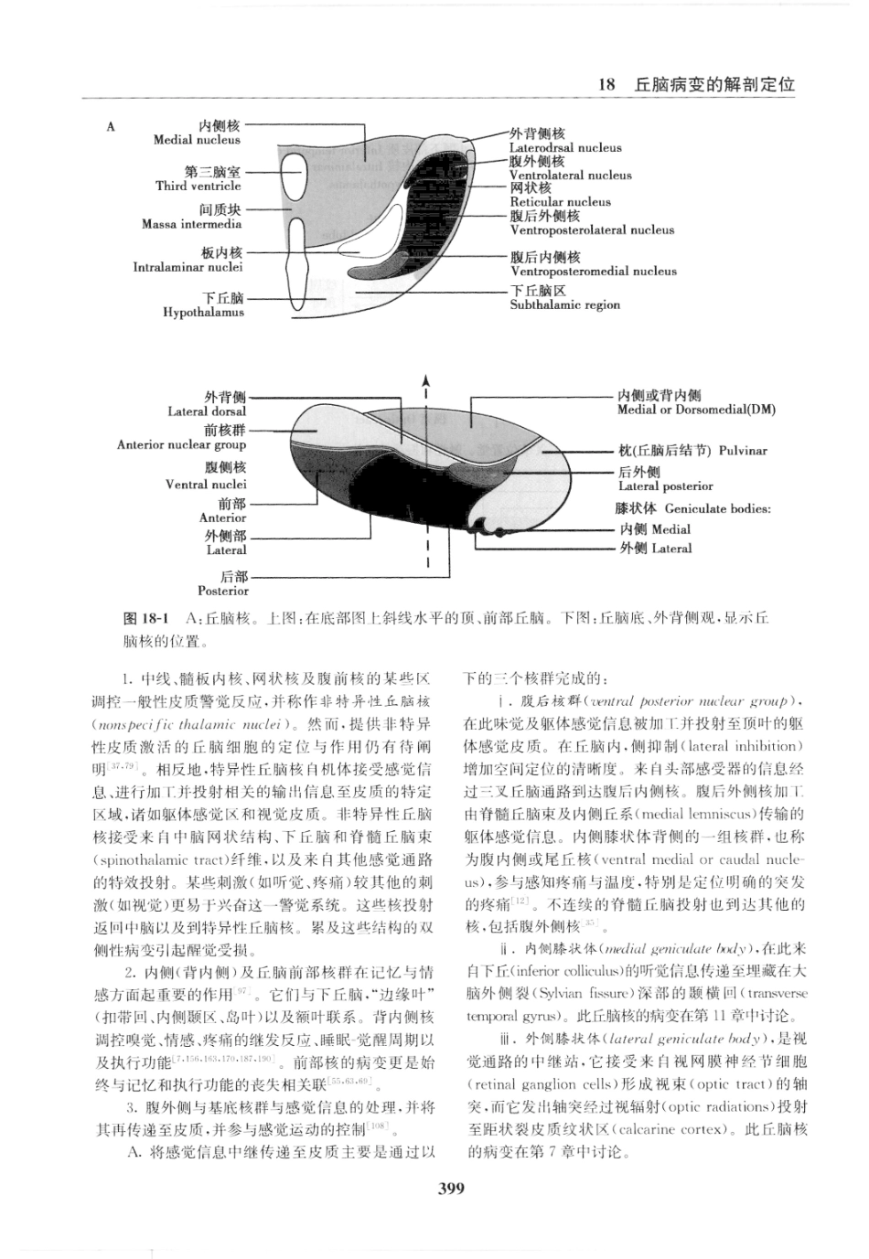 临床神经病学定位++第6版_13196861_406-420.pdf_第3页