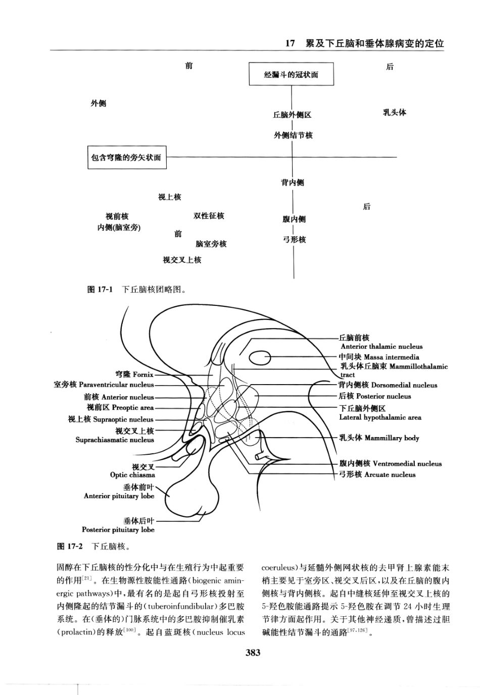 临床神经病学定位++第6版_13196861_391-405.pdf_第2页