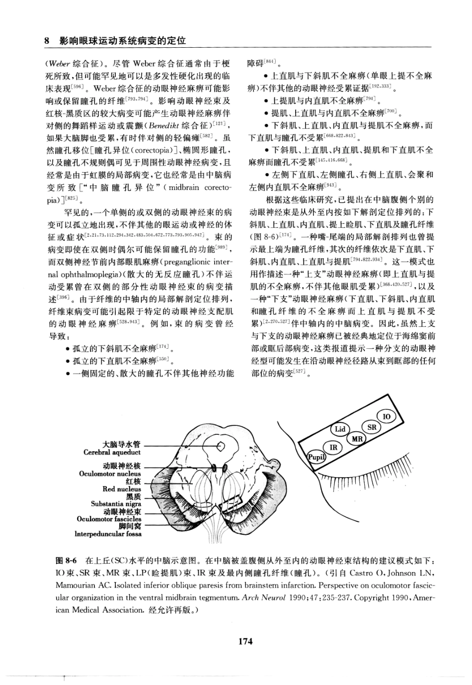 临床神经病学定位++第6版_13196861_181-195.pdf_第3页
