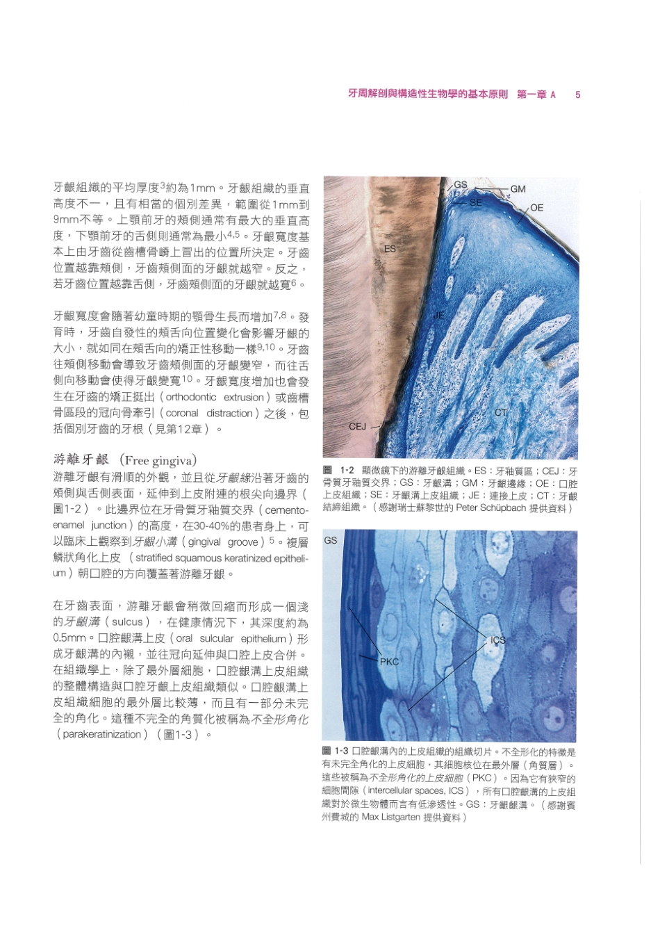 179.牙周整形美容与种植手术_17-24.pdf_第3页