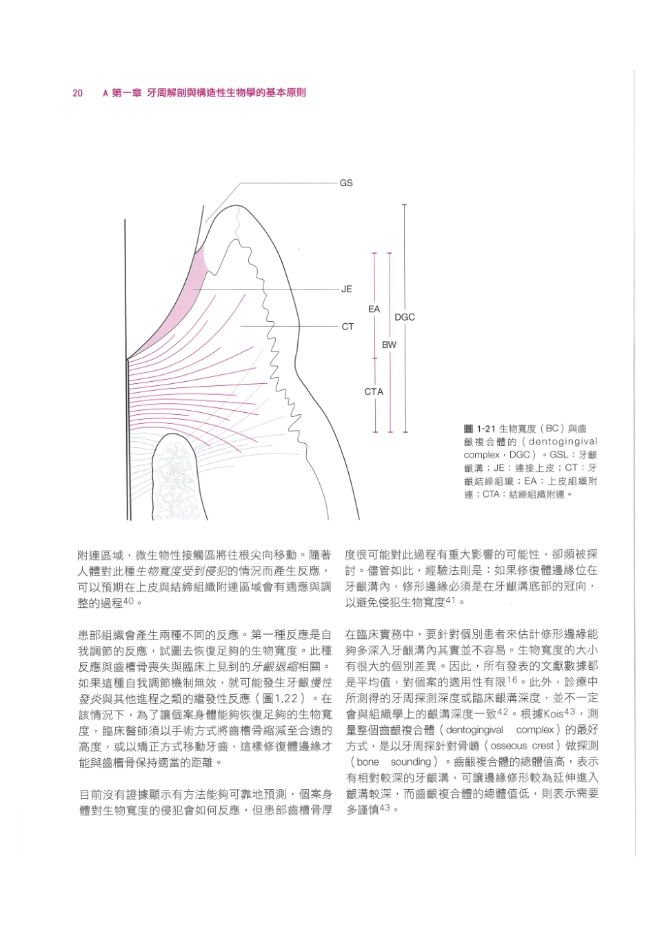 179.牙周整形美容与种植手术_33-40.pdf_第2页