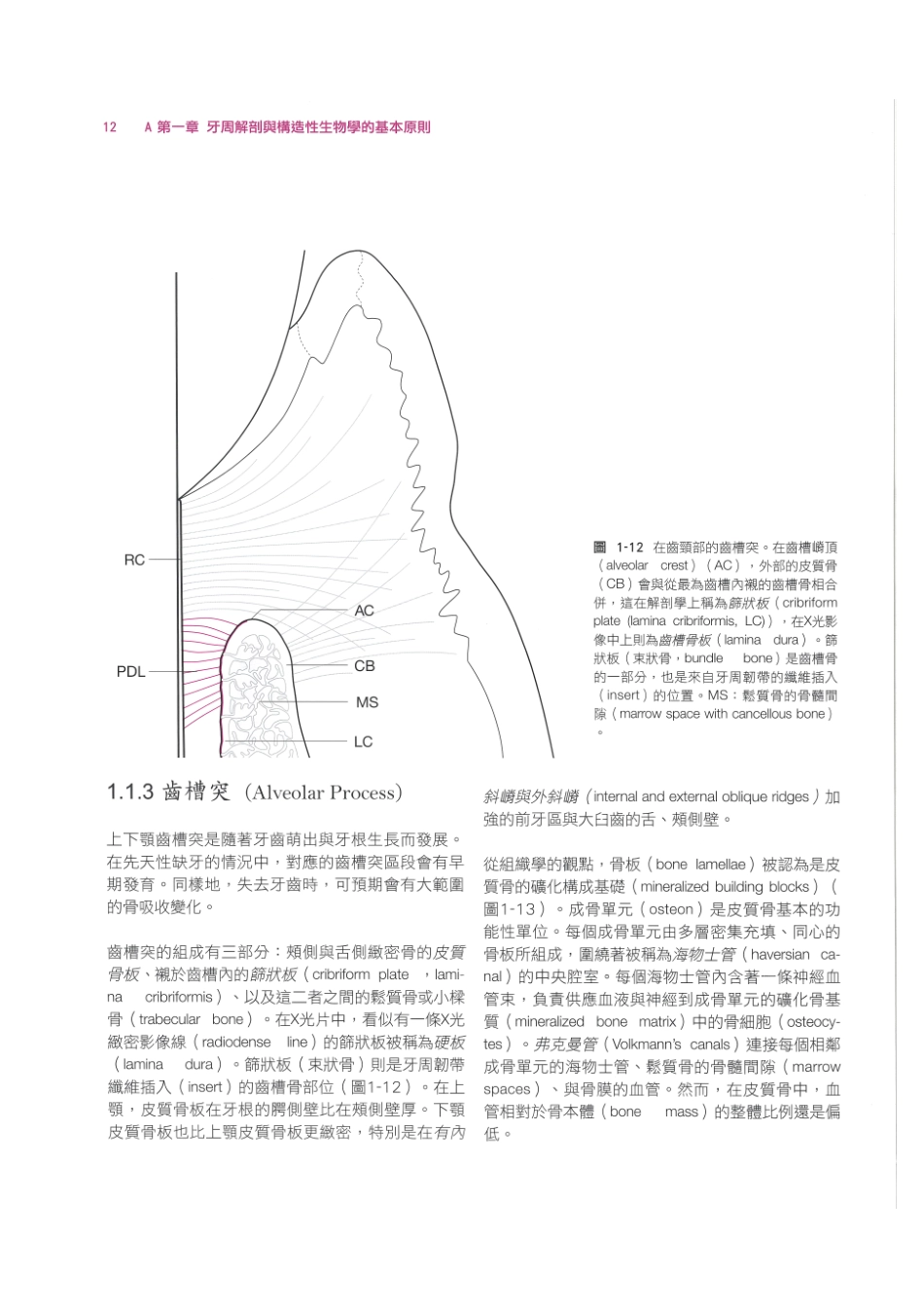 179.牙周整形美容与种植手术_25-32.pdf_第2页