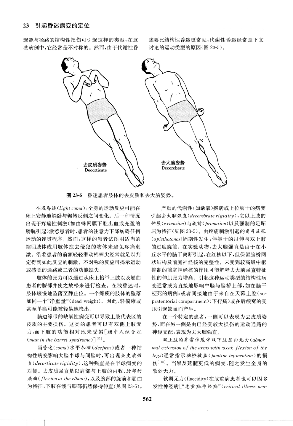 临床神经病学定位++第6版_13196861_571-585.pdf_第1页