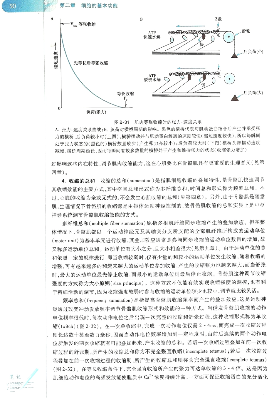 生理学（第八版）_57-64.pdf_第2页