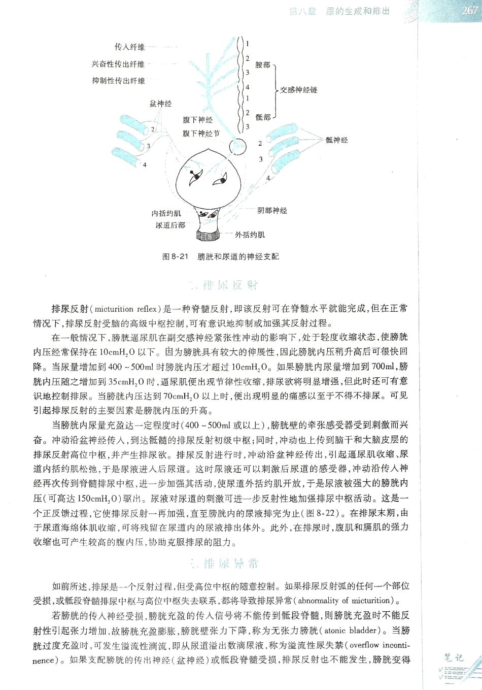 生理学（第八版）_273-280.pdf_第3页