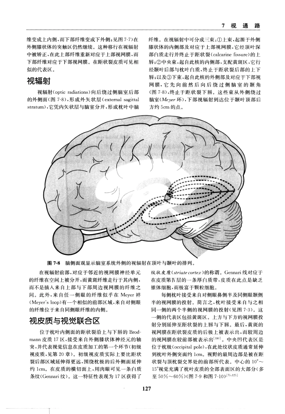 临床神经病学定位++第6版_13196861_136-150.pdf_第1页