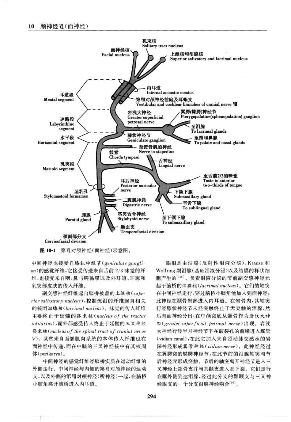 临床神经病学定位++第6版_13196861_301-315.pdf_第3页